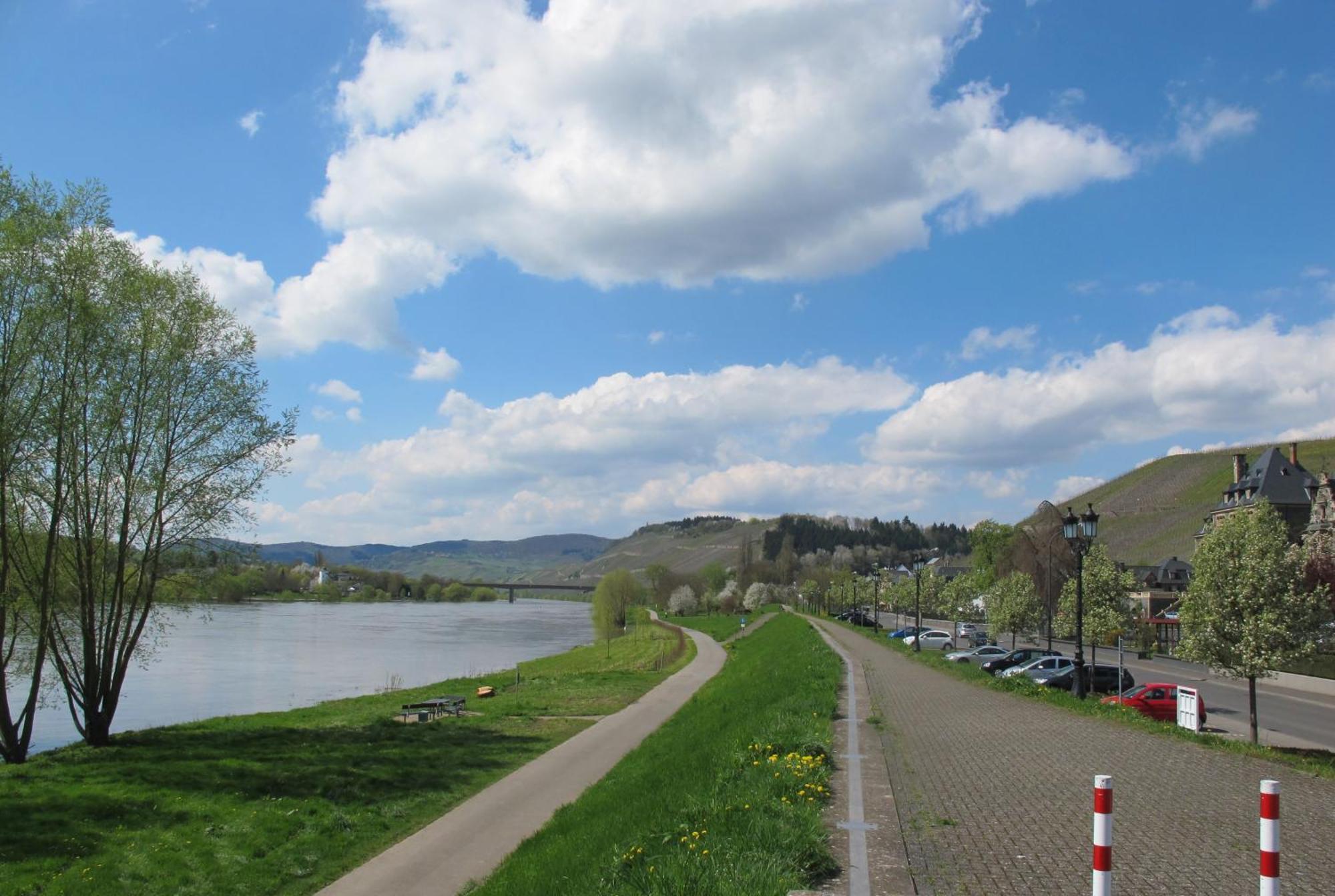 Mosel - River - Quartier 31 Hotel ลีเซอร์ ภายนอก รูปภาพ