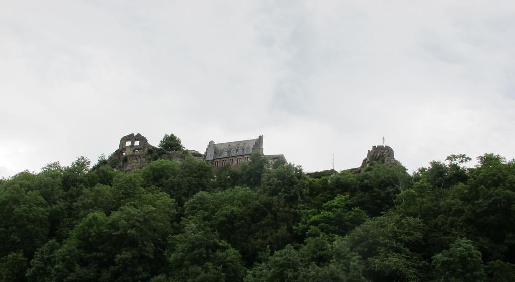 Mosel - River - Quartier 31 ลีเซอร์ ภายนอก รูปภาพ