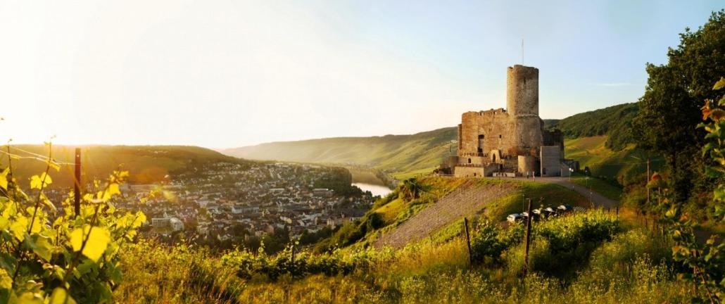 Mosel - River - Quartier 31 ลีเซอร์ ภายนอก รูปภาพ